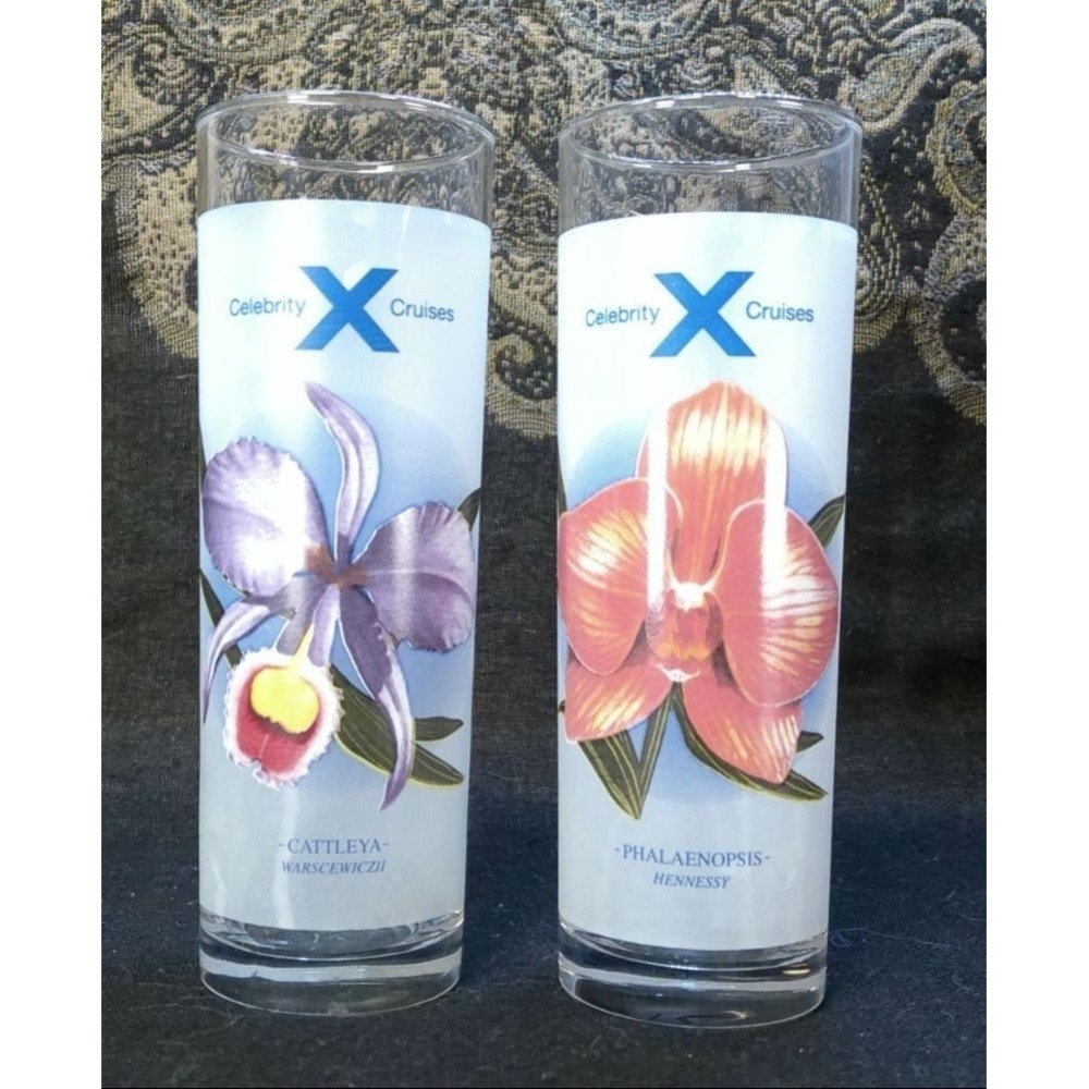 Frosted Cocktail Glasses‎ Celebrity Cruises Vintage Orchid Set Of 2 Glassware